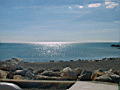 09080006.jpg